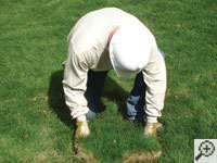 Restoring the landscaping by replacing removed sod on the ground for a La Porte home.
