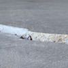 Slab floor cracks showing in a Griffith home