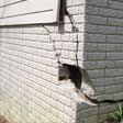 foundation walls cracked due to settlement in Fort Wayne