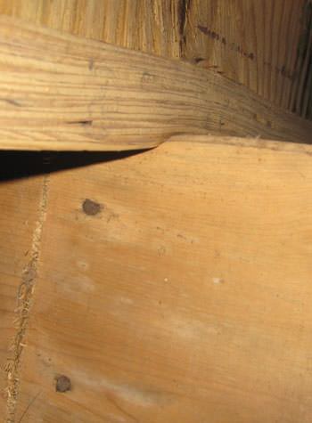 severe damage to a crawl space structure in a Portage home