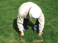 Restoring the landscaping by replacing removed lawn sections for a Mishawaka home.